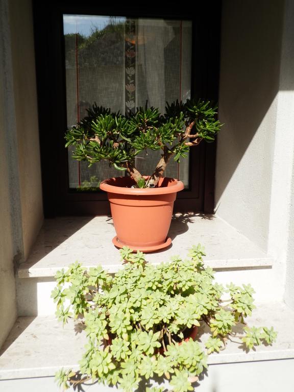 Apartment Andrija Vrbnik Exterior foto